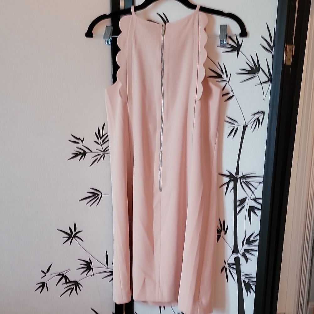 Ann Taylor Blush Scalloped Mini Dress - Picture 4 of 6